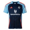 Maillot de Foot Hambourg SV Special 2024-25 Maillot de Foot Hambourg SV Special 2024-25